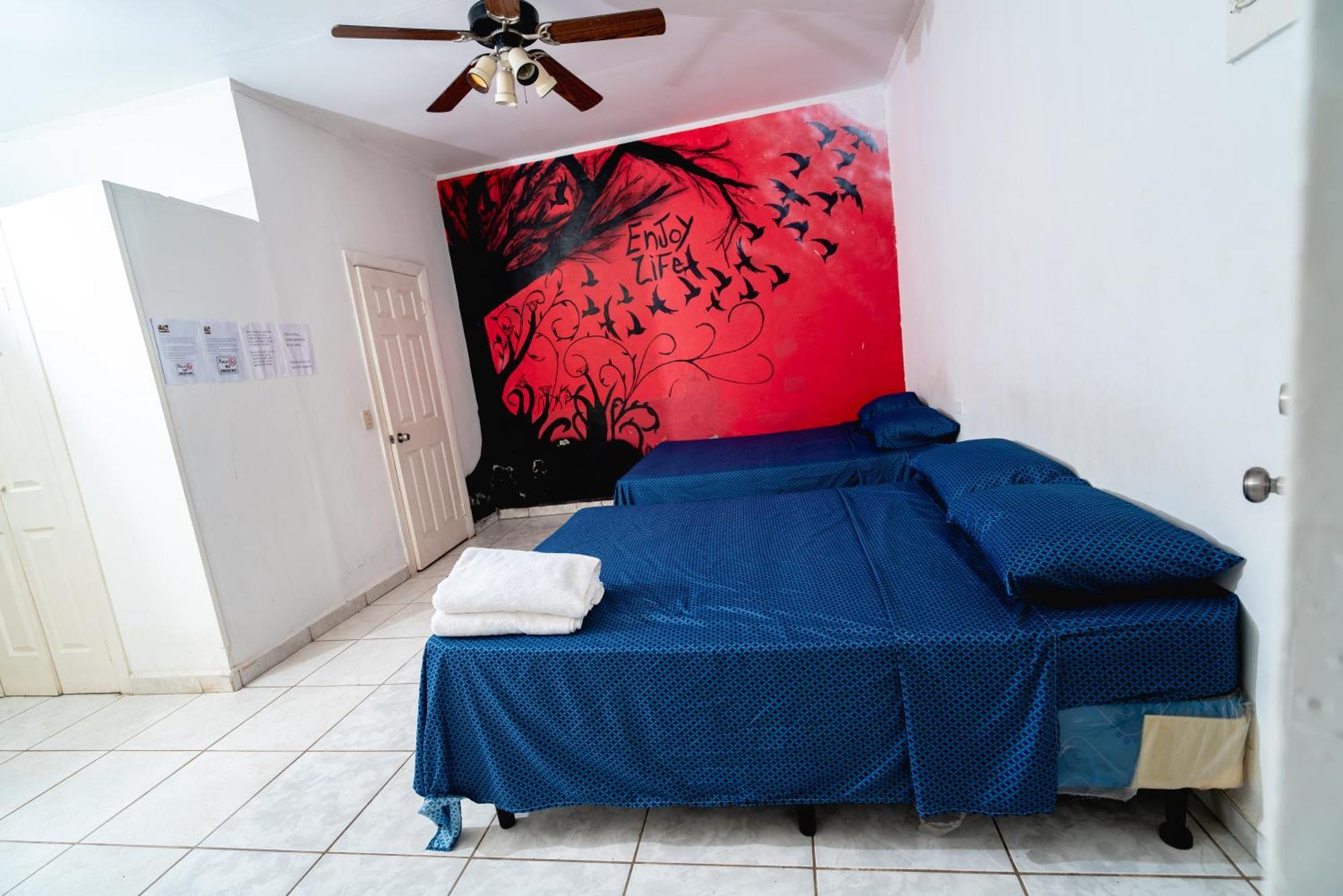 Hotel&Hostal Trinidad La Ceiba Dış mekan fotoğraf